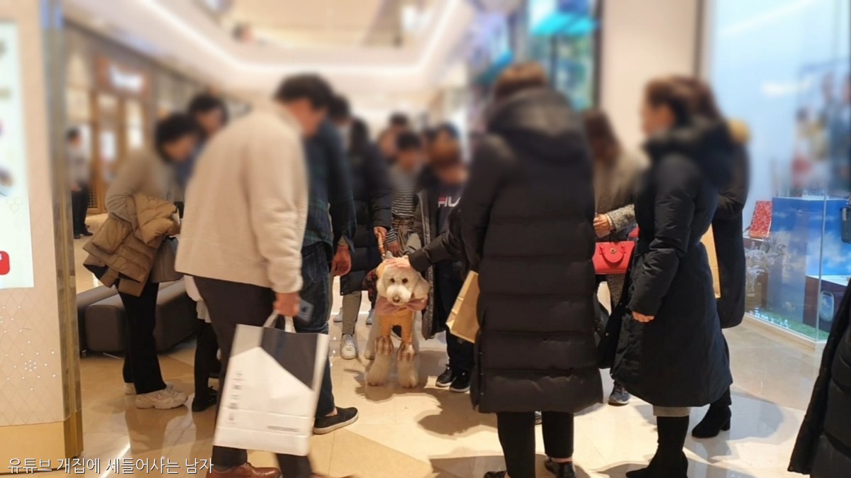 노트펫