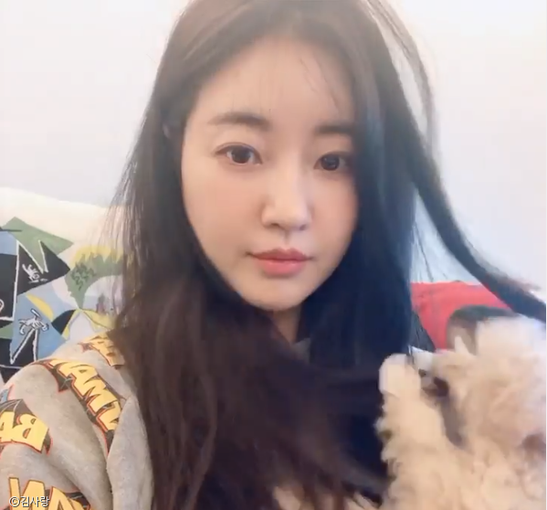 노트펫