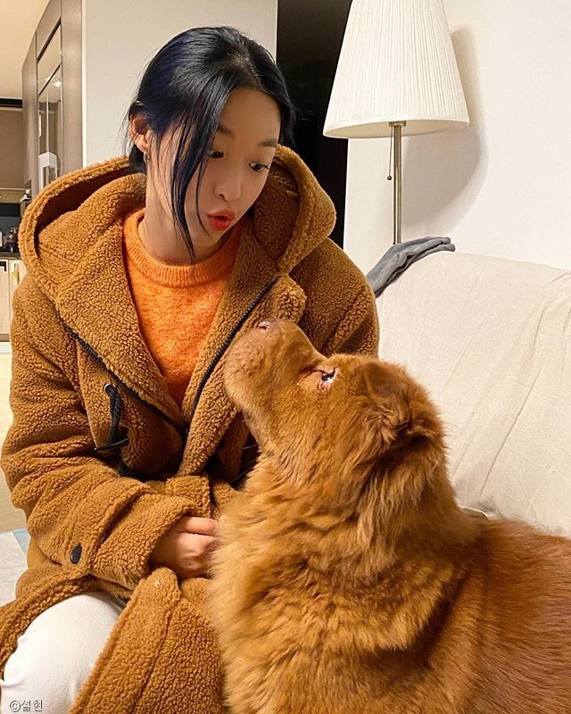 노트펫