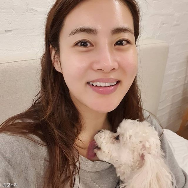 노트펫