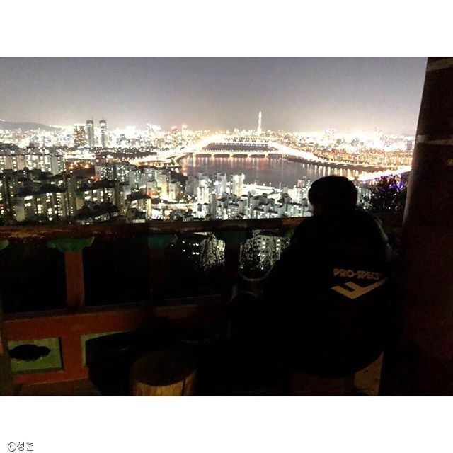노트펫