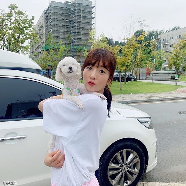 노트펫
