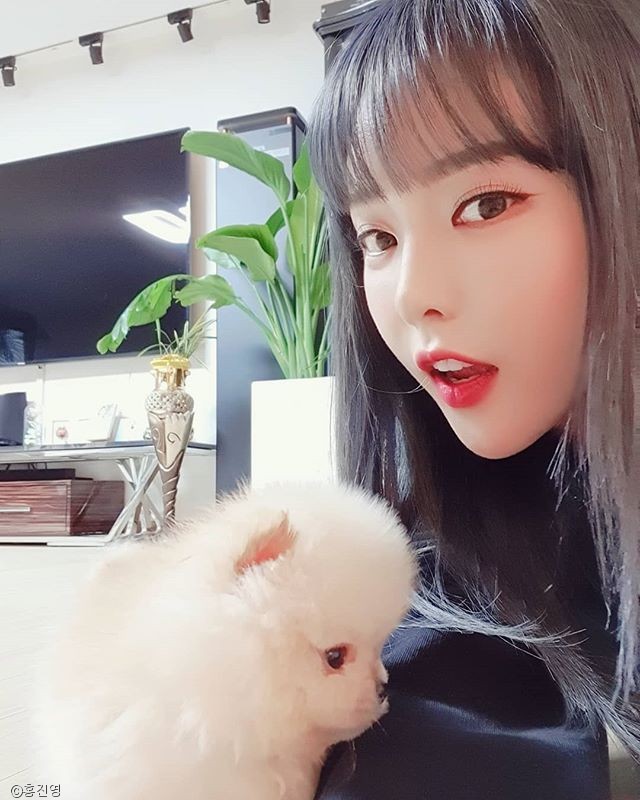노트펫