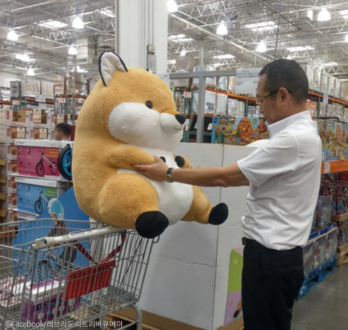 노트펫