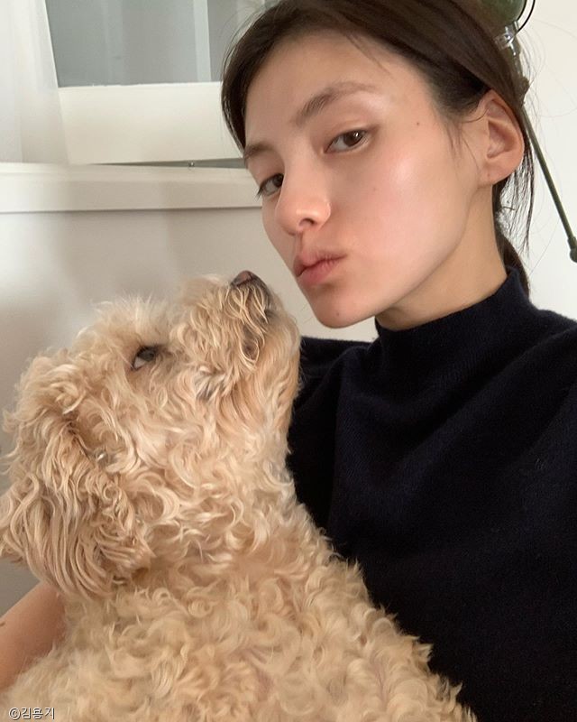 노트펫