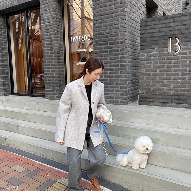 노트펫