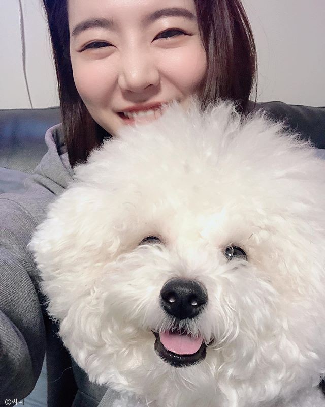 노트펫