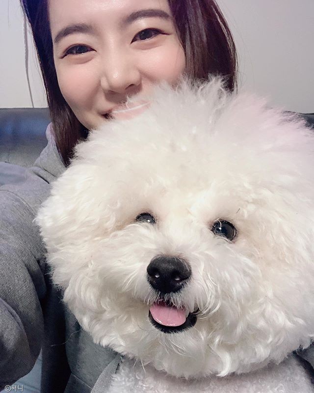 노트펫
