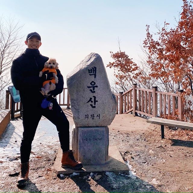 노트펫