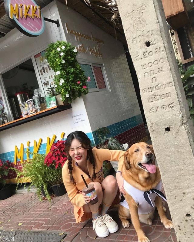 노트펫