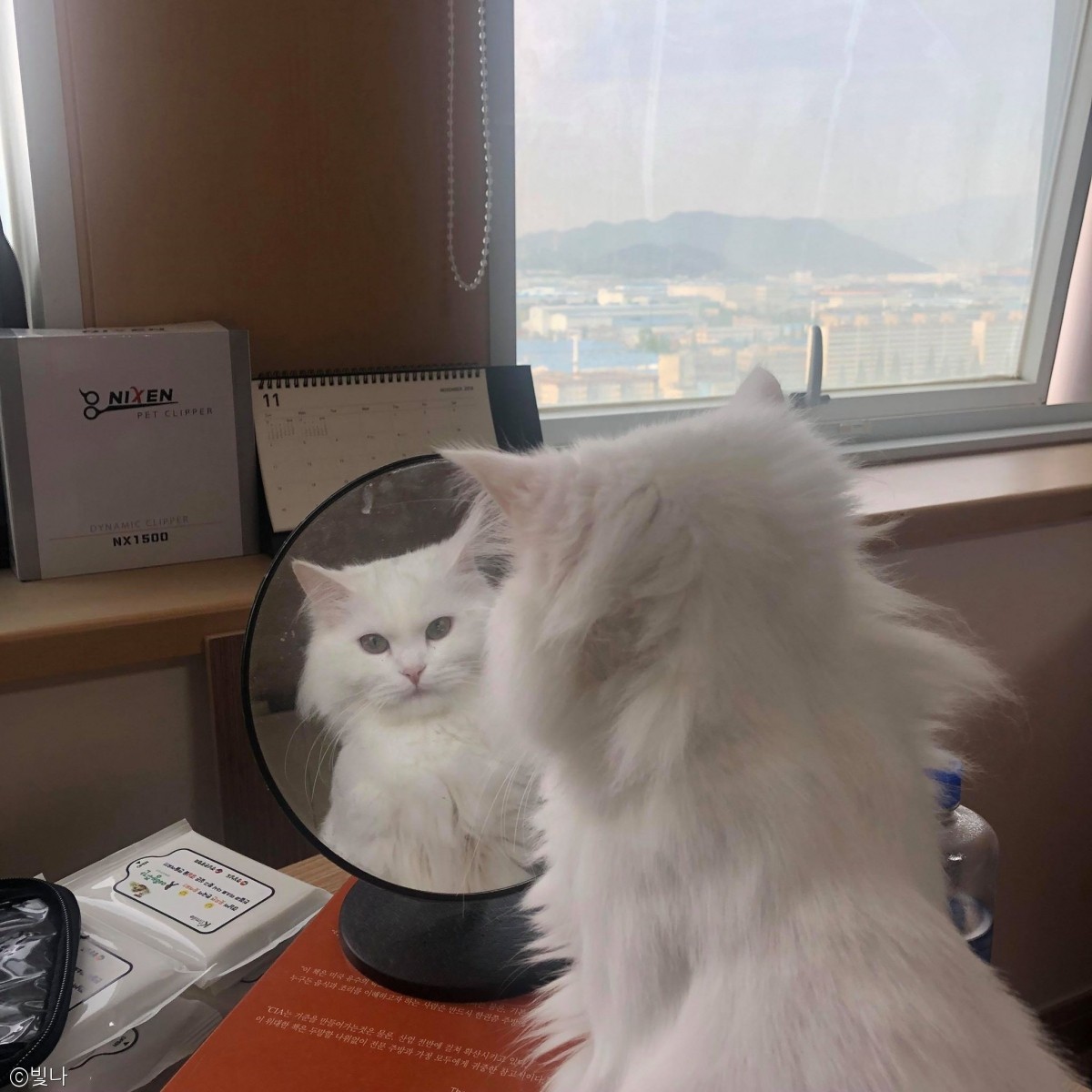 노트펫