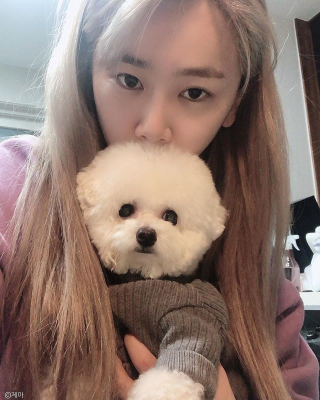 노트펫