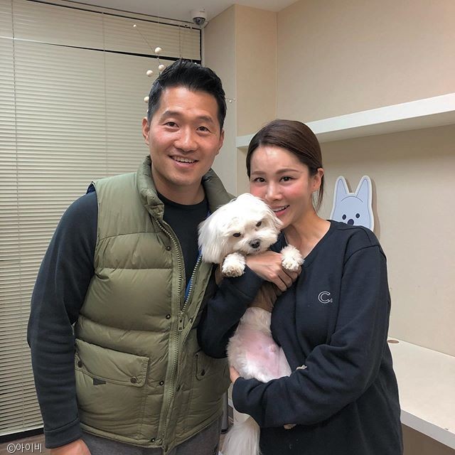 노트펫