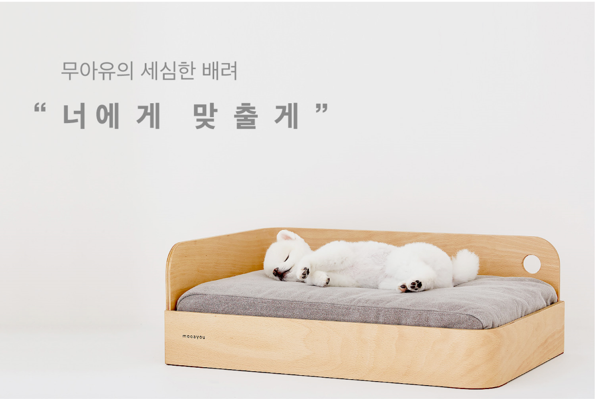 노트펫