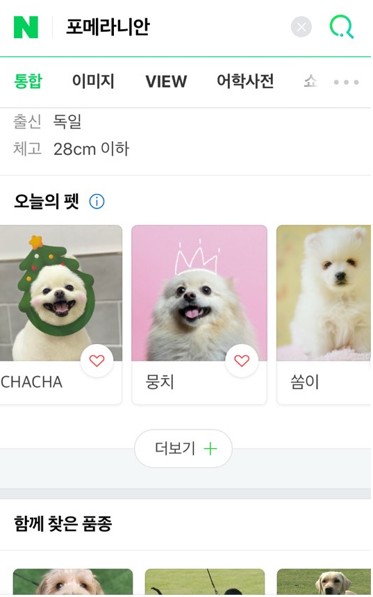 노트펫