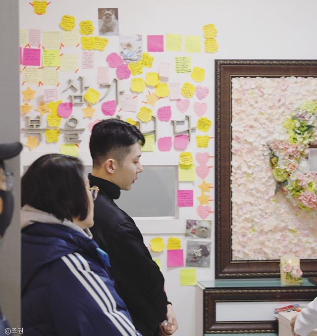 노트펫