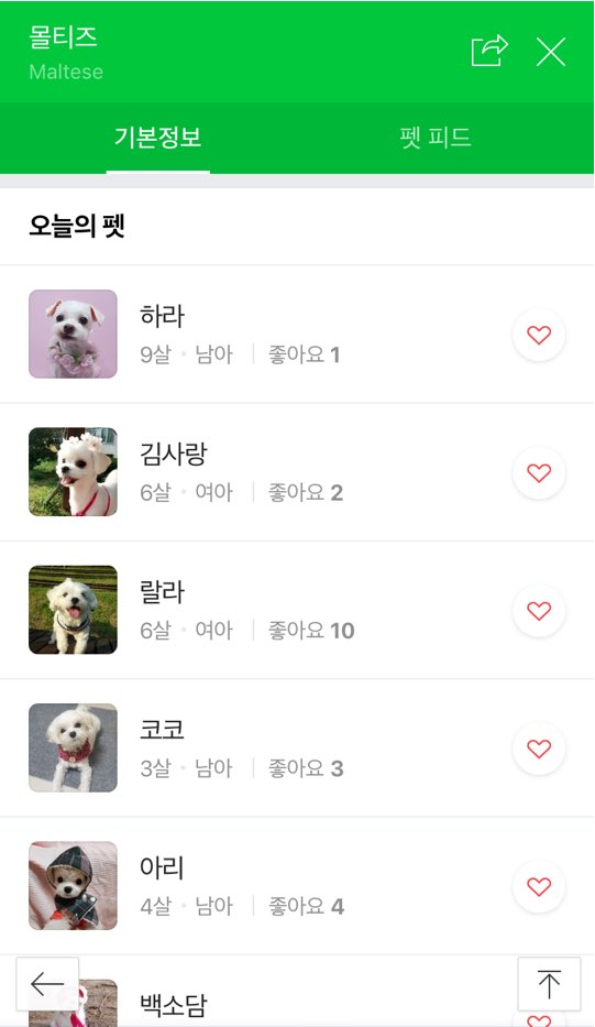 노트펫