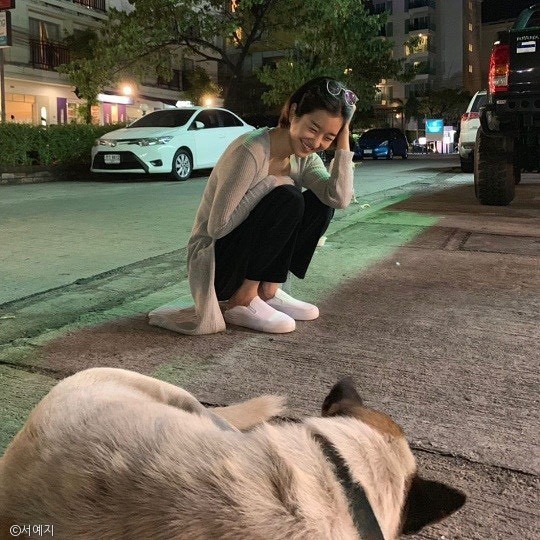 노트펫