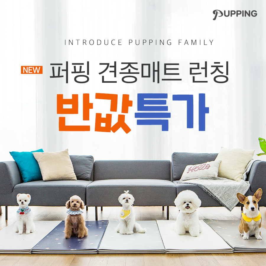노트펫