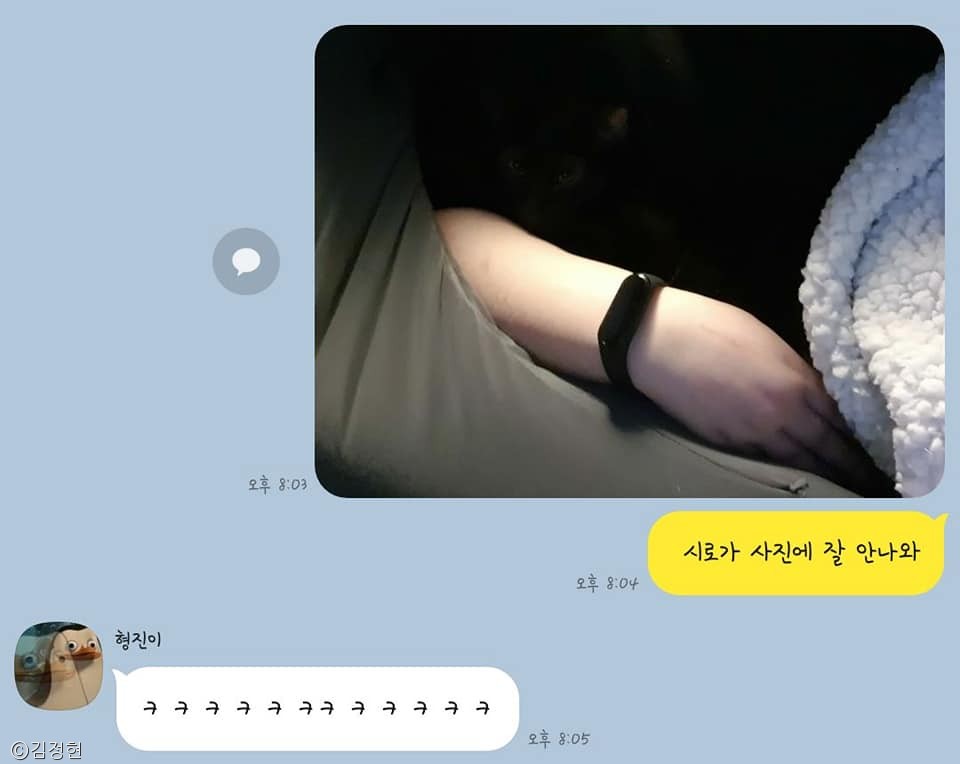 노트펫