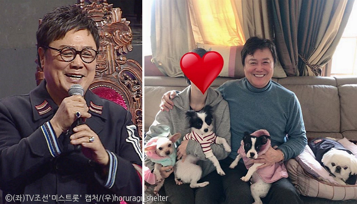 노트펫