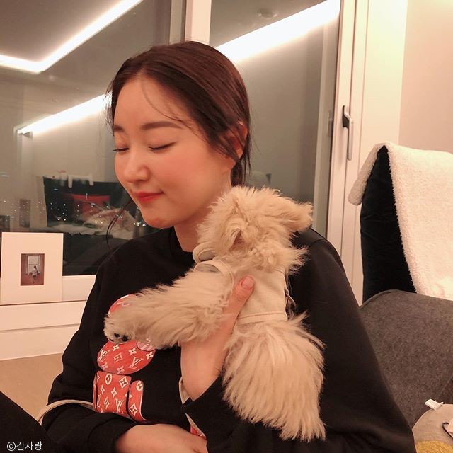 노트펫