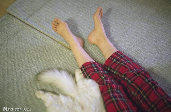 노트펫