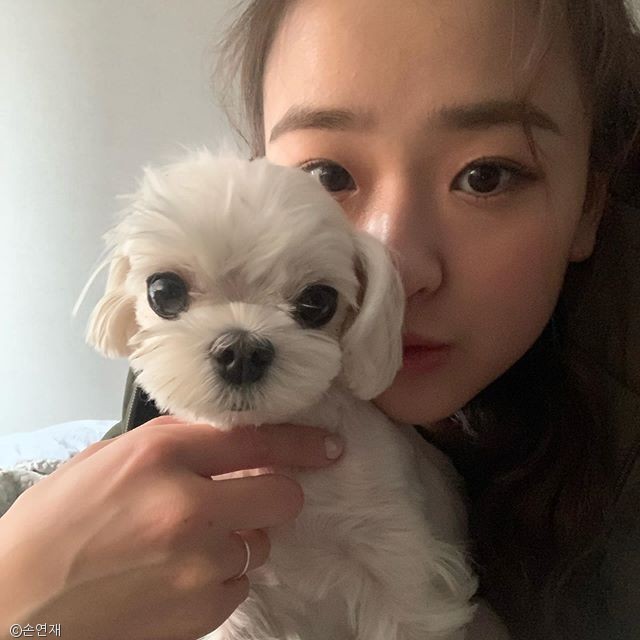노트펫