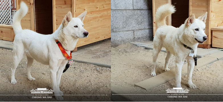 송강마루 이미지