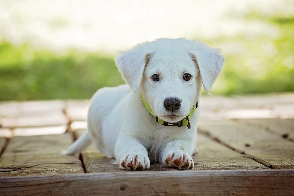 201906%2Ffb_8f2a699789b89dafd42d299da4e7f293.jpg