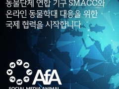 동물권행동 카라, 세계동물단체연합 'SMACC' 가입..'온라인 동물학대 대응한다!'
