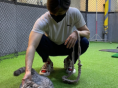 B1A4 진영, 고양이 '도도' 쓰다듬으며 찰칵.."귀여운 고양이 도도"