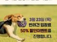 강아지숲, 3월 23일 '국제 강아지의 날' 기념 특별 이벤트 진행