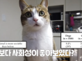 이 시국 나와 꼭 붙어있어야 했던 고양이의 솔찍헌 심정 고백...
