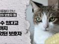 15년 차 수의사 미야옹철이 만난 최고의 보호자 BEST 5!