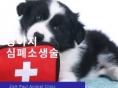 '댕냥이 보호자 필독!' 응급상황 시 강아지, 고양이 심폐소생술