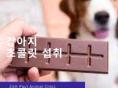강아지 초콜릿 먹었을 때 어떻게 할까?