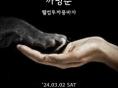 '까뭉상사', 오는 3월 2일 유기동물 위한 바자회 개최