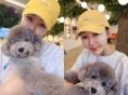 한영, 반려견 '오월이'와의 투 샷 공개... "강아지랑 둘 다 사진이 잘 나오기란"