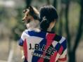 '어질리티 한국 국가대표팀 네덜란드로 떠난다!'...강아지숲서 '2024 WAO 챔피언십' 출정식