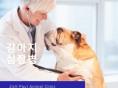 강아지 심장병 증상, 검사, 치료법 알아보기