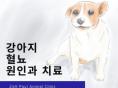 강아지 혈뇨 원인과 치료법 알아보기