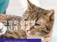 고양이 심장병(심근비대증, 심부전) 진단과 치료