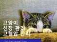 고양이 신장질환과 고혈압 관리