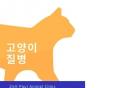 ​고양이가 잘 걸리는 질환 3가지: 원인, 증상, 예방