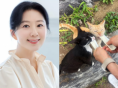 김희애, 길냥이 형제 간식 챙겨주는 평안한 일상 공개..."맛있게 먹어 좋네요"