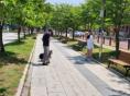 성남시, "반려동물 문제 행동, 무료로 1:1 상담해 드려요!"