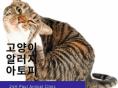 고양이 아토피 피부염에 대해 알아보기