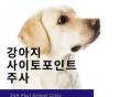 강아지 사이토 포인트 주사(아토피 주사)란?