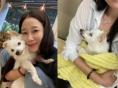 김하영, 투병 중인 반려견 '카스'에게 전한 마음.."언제나처럼 잘 이겨낼 거라고"